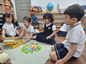 즐거운 하바시간 주사위를 굴려요